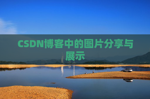 CSDN博客中的图片分享与展示